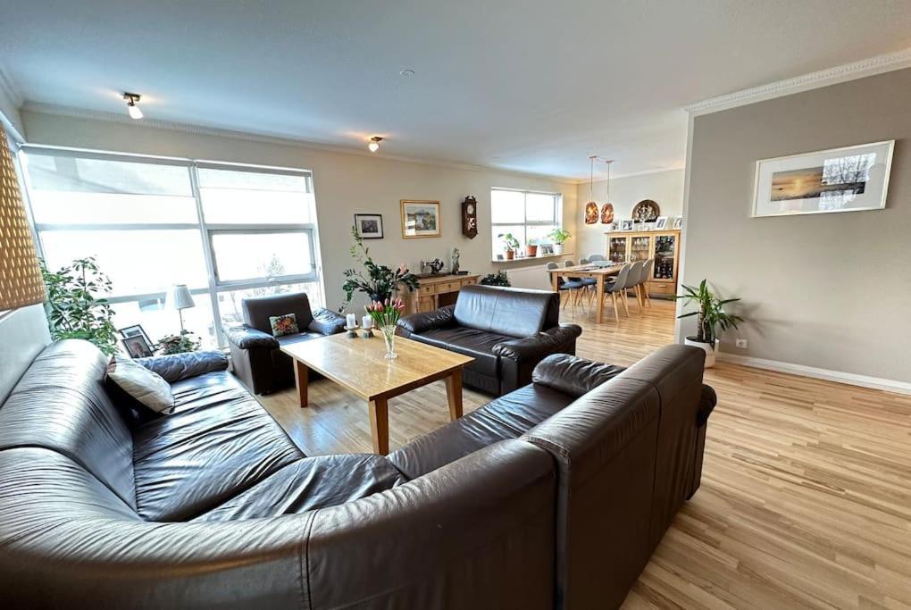 Spacious And Family Friendly Apartment In Reykjavík Zewnętrze zdjęcie